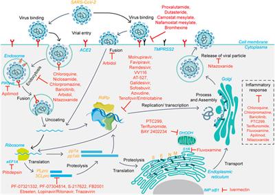 Mechanism of Action of Small-Molecule Agents in Ongoing Clinical Trials for SARS-CoV-2: A Review